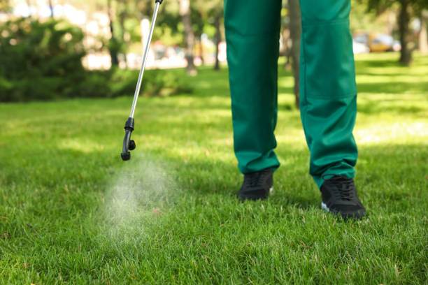 Best Flea Control Services  in Manor, PA