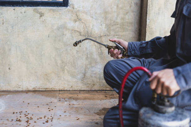 Best Residential Pest Control  in Manor, PA